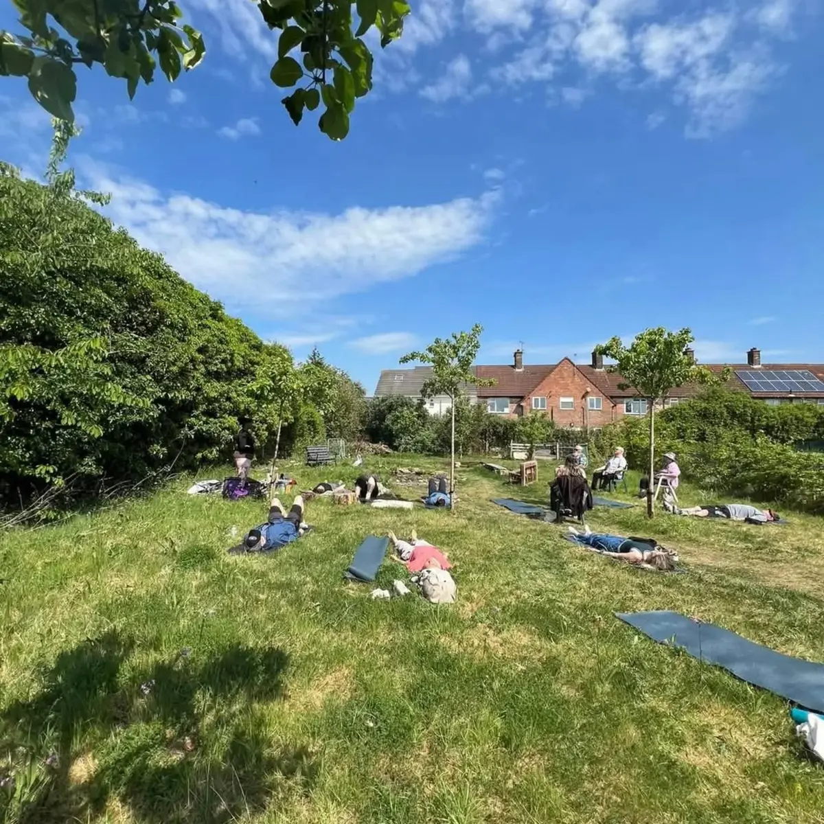 People relaxing on the grass in a park on a sunny day at an outdoor Mind Connect session